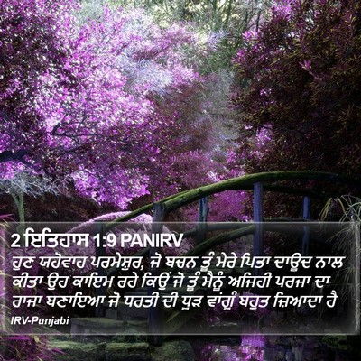2 ਇਤਿਹਾਸ 1:9 PANIRV Bible Verse Image