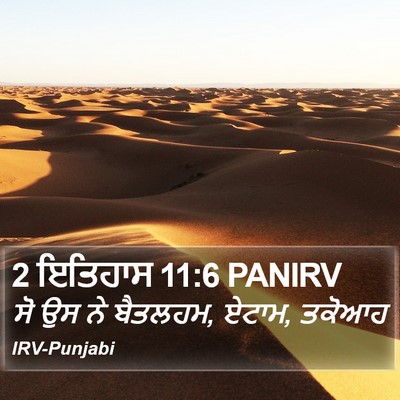 2 ਇਤਿਹਾਸ 11:6 PANIRV Bible Verse Image