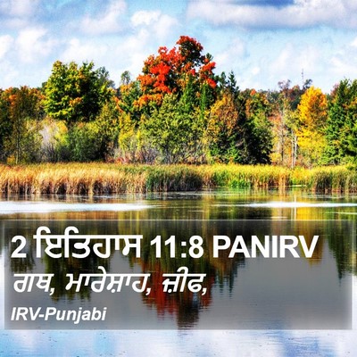 2 ਇਤਿਹਾਸ 11:8 PANIRV Bible Verse Image