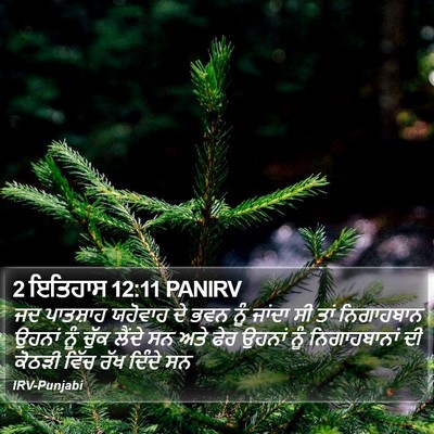 2 ਇਤਿਹਾਸ 12:11 PANIRV Bible Verse Image