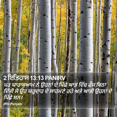 2 ਇਤਿਹਾਸ 13:13 PANIRV Bible Verse Image