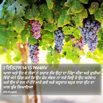 2 ਇਤਿਹਾਸ 14:13 PANIRV Bible Verse Image