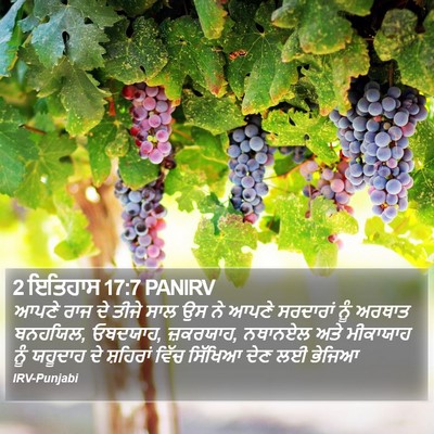 2 ਇਤਿਹਾਸ 17:7 PANIRV Bible Verse Image