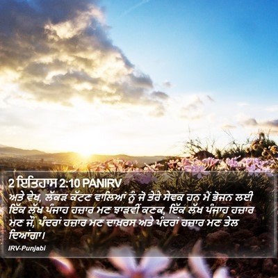 2 ਇਤਿਹਾਸ 2:10 PANIRV Bible Verse Image