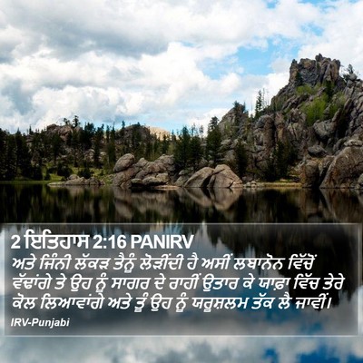 2 ਇਤਿਹਾਸ 2:16 PANIRV Bible Verse Image
