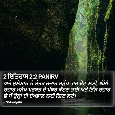 2 ਇਤਿਹਾਸ 2:2 PANIRV Bible Verse Image