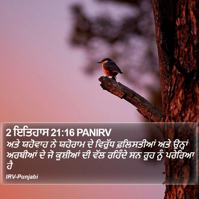 2 ਇਤਿਹਾਸ 21:16 PANIRV Bible Verse Image