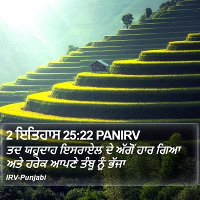 2 ਇਤਿਹਾਸ 25:22 PANIRV Bible Verse Image