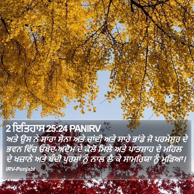 2 ਇਤਿਹਾਸ 25:24 PANIRV Bible Verse Image
