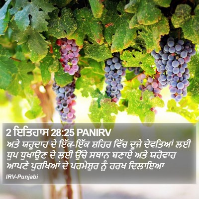 2 ਇਤਿਹਾਸ 28:25 PANIRV Bible Verse Image
