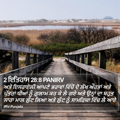 2 ਇਤਿਹਾਸ 28:8 PANIRV Bible Verse Image