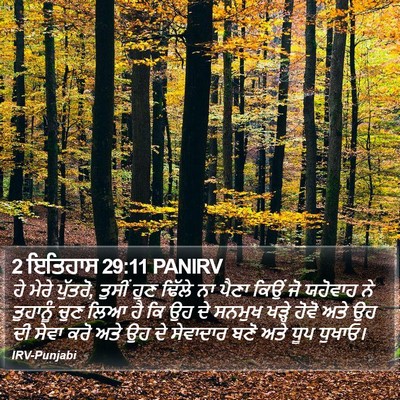 2 ਇਤਿਹਾਸ 29:11 PANIRV Bible Verse Image