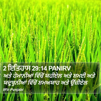 2 ਇਤਿਹਾਸ 29:14 PANIRV Bible Verse Image