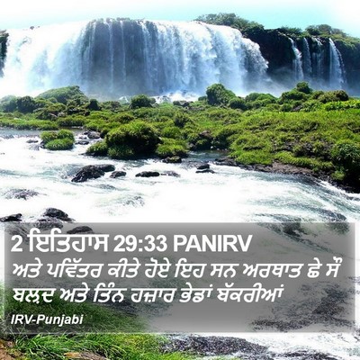 2 ਇਤਿਹਾਸ 29:33 PANIRV Bible Verse Image