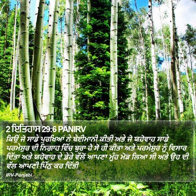 2 ਇਤਿਹਾਸ 29:6 PANIRV Bible Verse Image
