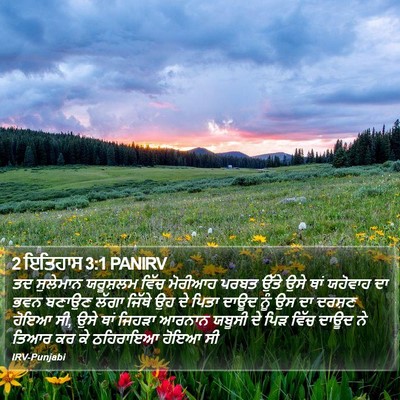 2 ਇਤਿਹਾਸ 3:1 PANIRV Bible Verse Image