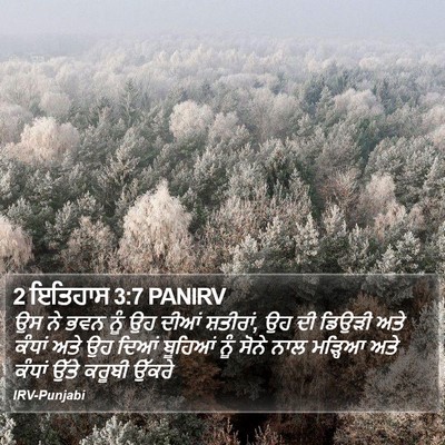 2 ਇਤਿਹਾਸ 3:7 PANIRV Bible Verse Image
