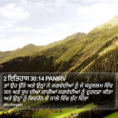 2 ਇਤਿਹਾਸ 30:14 PANIRV Bible Verse Image