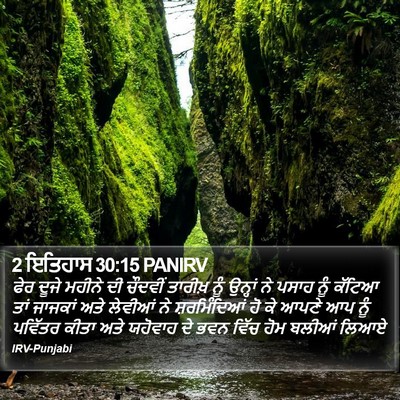 2 ਇਤਿਹਾਸ 30:15 PANIRV Bible Verse Image