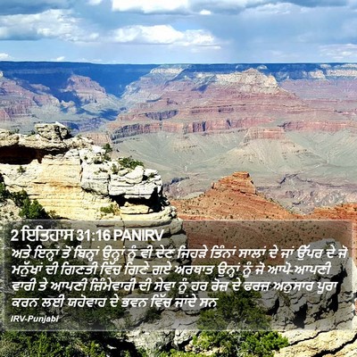 2 ਇਤਿਹਾਸ 31:16 PANIRV Bible Verse Image