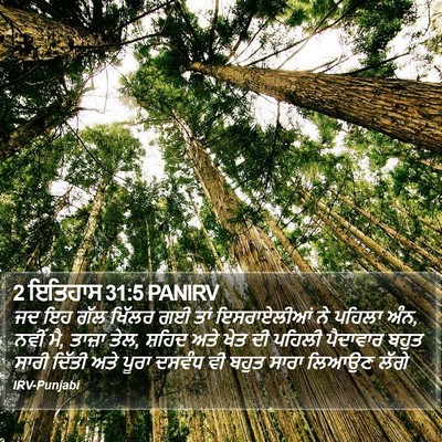 2 ਇਤਿਹਾਸ 31:5 PANIRV Bible Verse Image