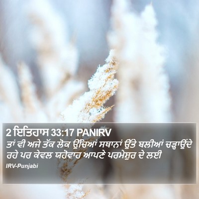 2 ਇਤਿਹਾਸ 33:17 PANIRV Bible Verse Image