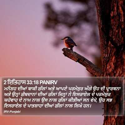2 ਇਤਿਹਾਸ 33:18 PANIRV Bible Verse Image