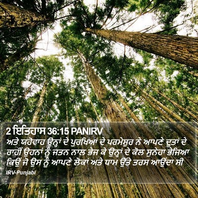 2 ਇਤਿਹਾਸ 36:15 PANIRV Bible Verse Image