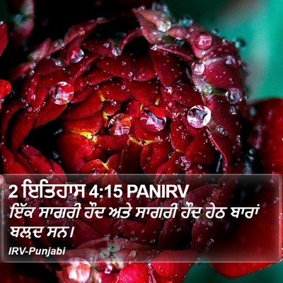 2 ਇਤਿਹਾਸ 4:15 PANIRV Bible Verse Image