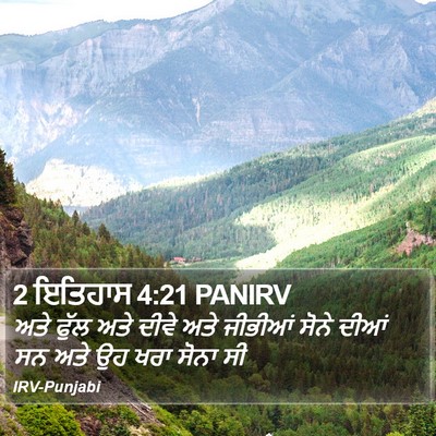 2 ਇਤਿਹਾਸ 4:21 PANIRV Bible Verse Image