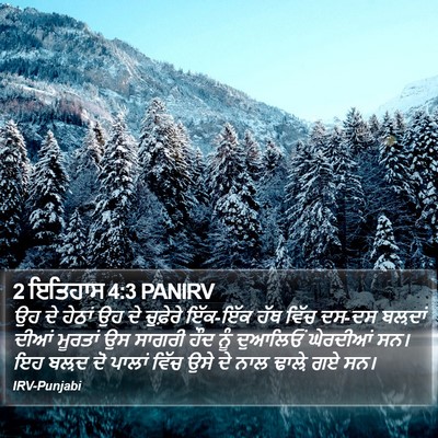 2 ਇਤਿਹਾਸ 4:3 PANIRV Bible Verse Image