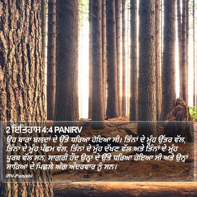 2 ਇਤਿਹਾਸ 4:4 PANIRV Bible Verse Image