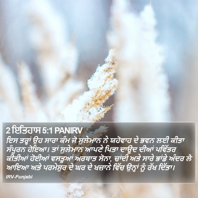 2 ਇਤਿਹਾਸ 5:1 PANIRV Bible Verse Image