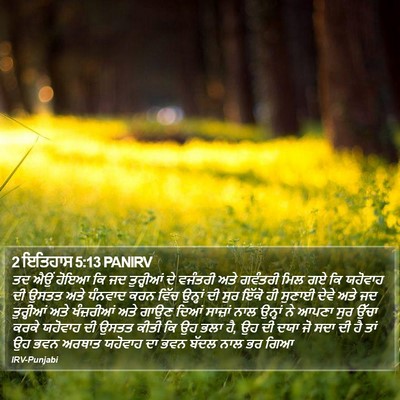 2 ਇਤਿਹਾਸ 5:13 PANIRV Bible Verse Image