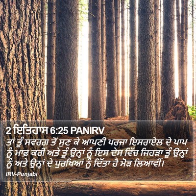 2 ਇਤਿਹਾਸ 6:25 PANIRV Bible Verse Image