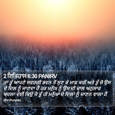 2 ਇਤਿਹਾਸ 6:30 PANIRV Bible Verse Image