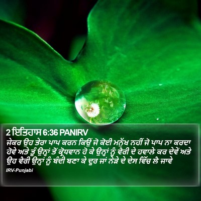 2 ਇਤਿਹਾਸ 6:36 PANIRV Bible Verse Image
