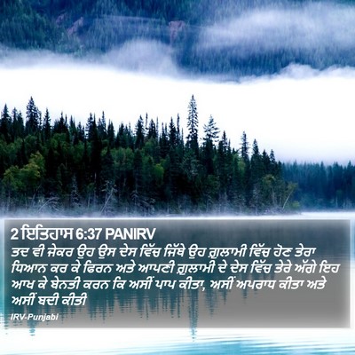 2 ਇਤਿਹਾਸ 6:37 PANIRV Bible Verse Image