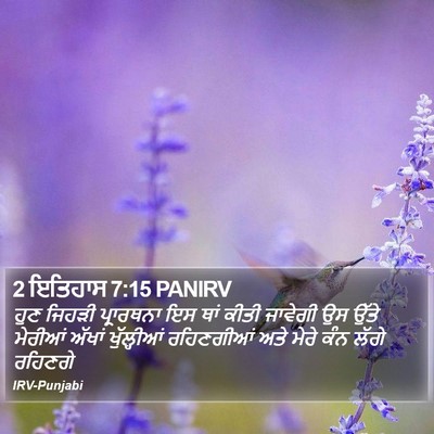 2 ਇਤਿਹਾਸ 7:15 PANIRV Bible Verse Image