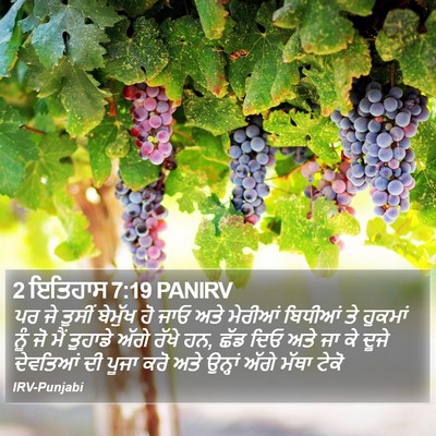 2 ਇਤਿਹਾਸ 7:19 PANIRV Bible Verse Image