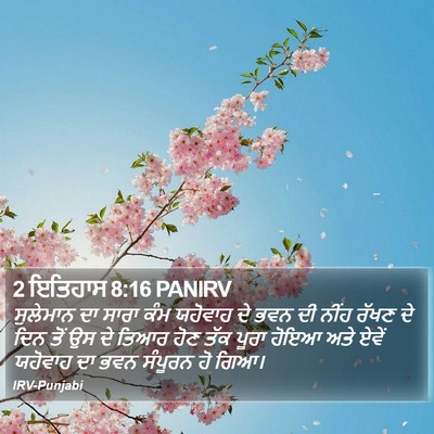 2 ਇਤਿਹਾਸ 8:16 PANIRV Bible Verse Image