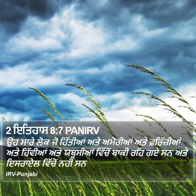 2 ਇਤਿਹਾਸ 8:7 PANIRV Bible Verse Image