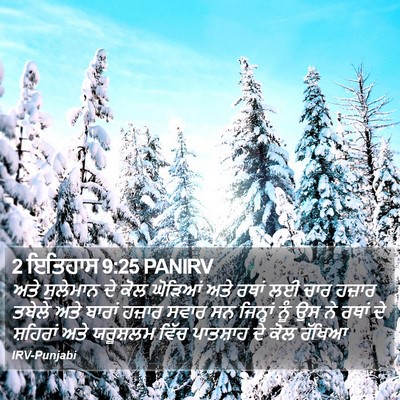 2 ਇਤਿਹਾਸ 9:25 PANIRV Bible Verse Image