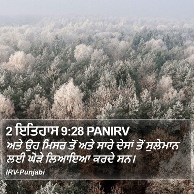 2 ਇਤਿਹਾਸ 9:28 PANIRV Bible Verse Image