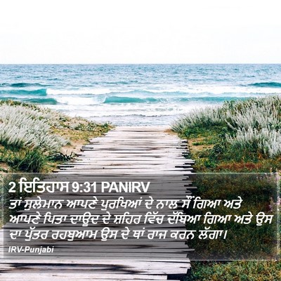 2 ਇਤਿਹਾਸ 9:31 PANIRV Bible Verse Image
