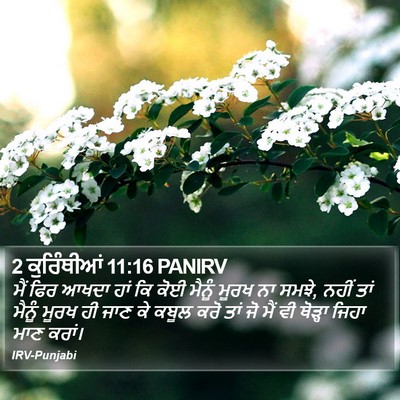 2 ਕੁਰਿੰਥੀਆਂ 11:16 PANIRV Bible Verse Image