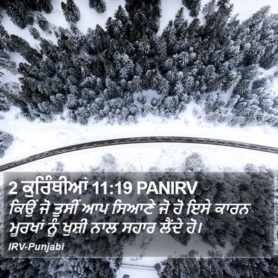 2 ਕੁਰਿੰਥੀਆਂ 11:19 PANIRV Bible Verse Image