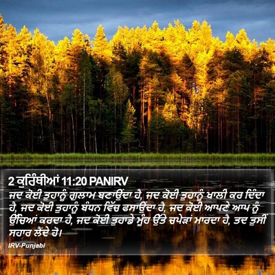 2 ਕੁਰਿੰਥੀਆਂ 11:20 PANIRV Bible Verse Image