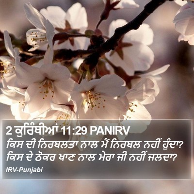 2 ਕੁਰਿੰਥੀਆਂ 11:29 PANIRV Bible Verse Image