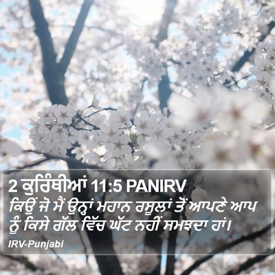 2 ਕੁਰਿੰਥੀਆਂ 11:5 PANIRV Bible Verse Image